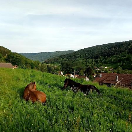 Gite De Famille Dans Les Vosges Saint-Maurice-sur-Moselle Zewnętrze zdjęcie