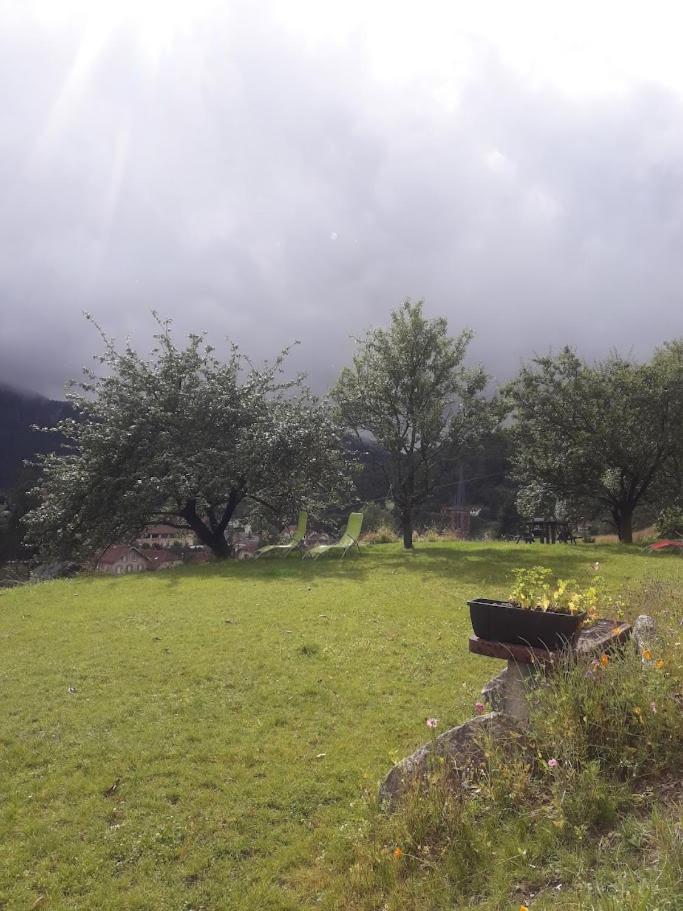 Gite De Famille Dans Les Vosges Saint-Maurice-sur-Moselle Zewnętrze zdjęcie