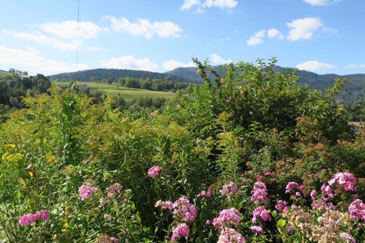 Gite De Famille Dans Les Vosges Saint-Maurice-sur-Moselle Zewnętrze zdjęcie