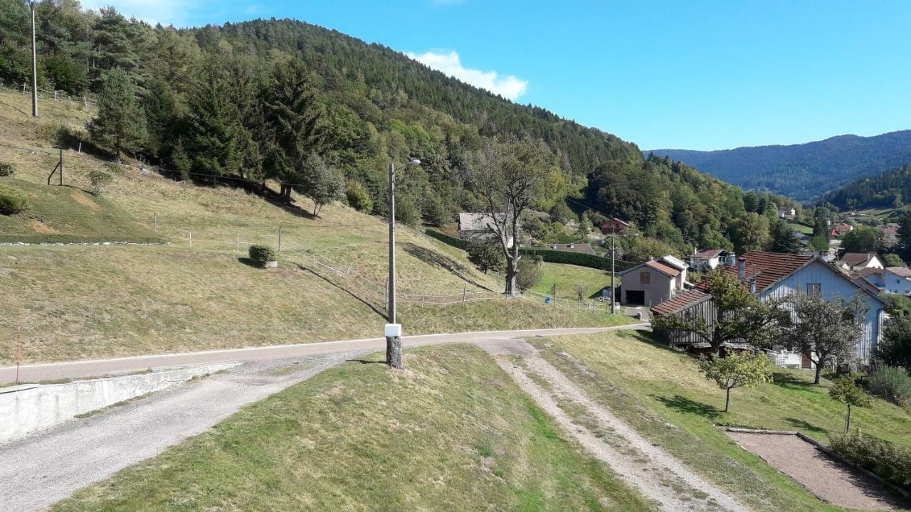 Gite De Famille Dans Les Vosges Saint-Maurice-sur-Moselle Zewnętrze zdjęcie