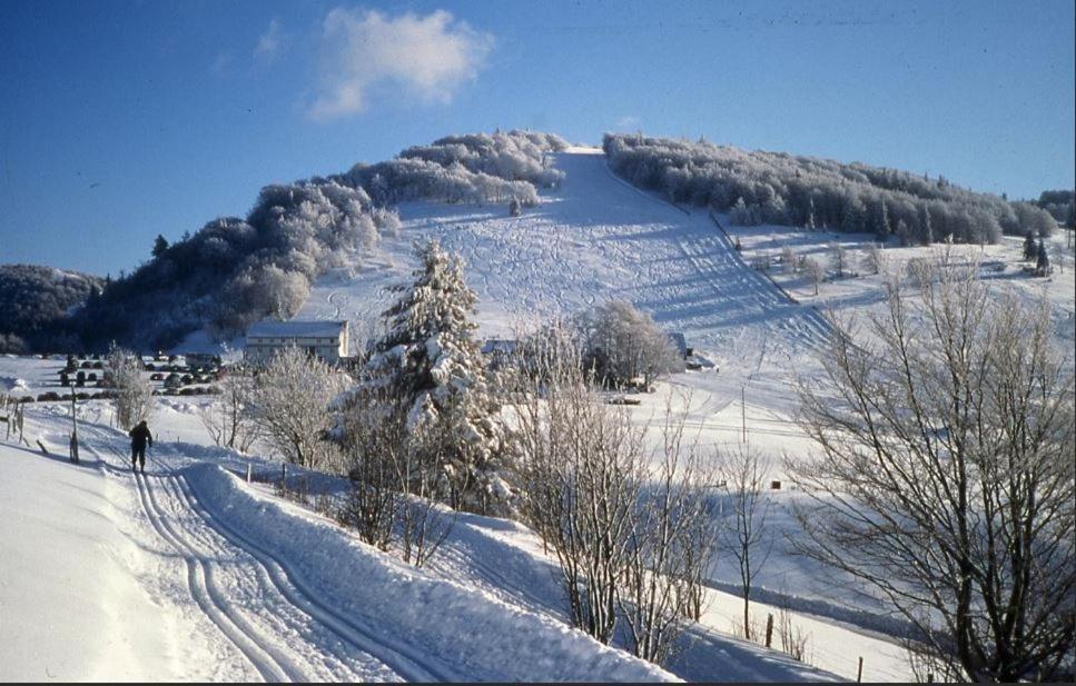 Gite De Famille Dans Les Vosges Saint-Maurice-sur-Moselle Zewnętrze zdjęcie